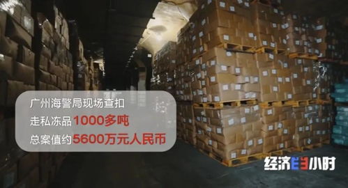 海關(guān)重拳出擊 查獲走私凍品4.9萬噸，部分竟源自非洲豬瘟高發(fā)疫區(qū)，國內(nèi)貿(mào)易代理敲響安全警鐘